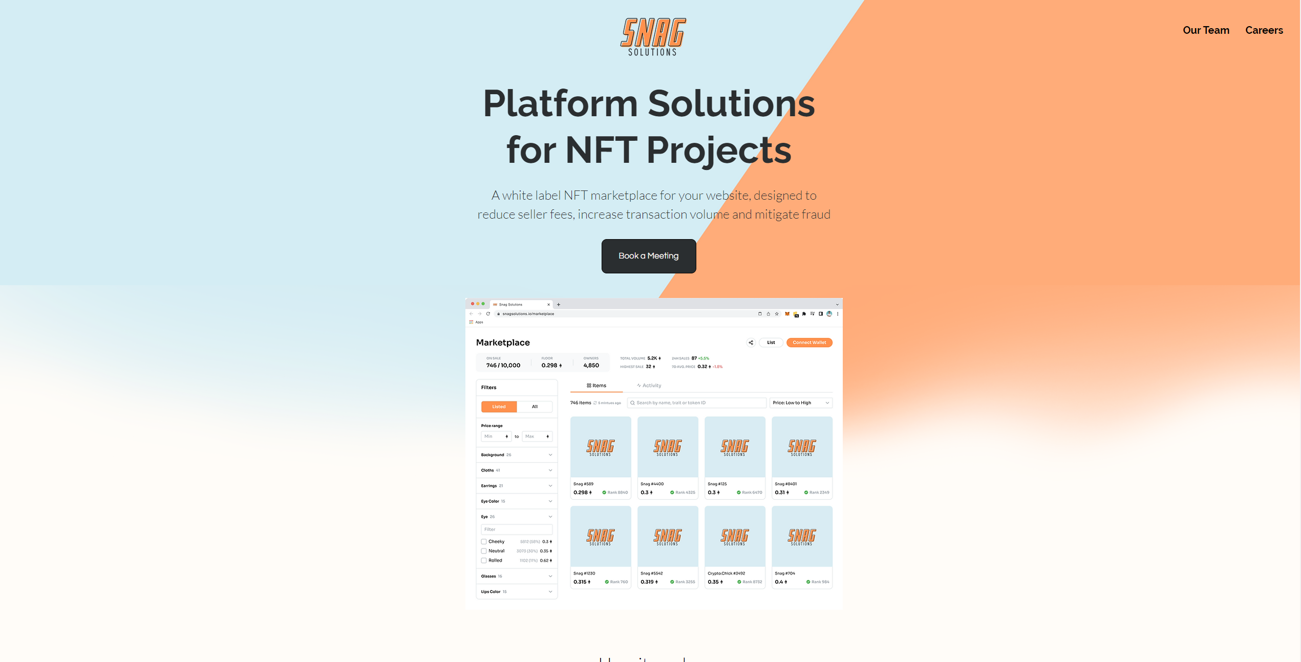 Snag Solutions Homepage