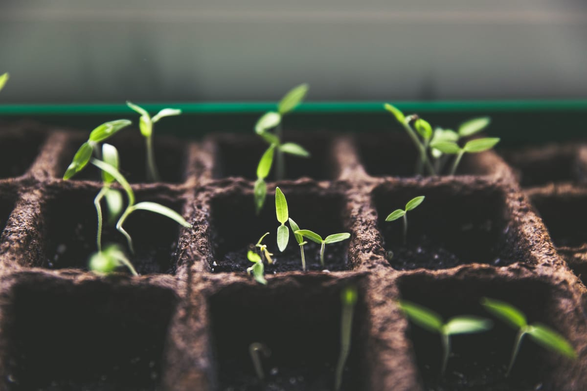 Building Applications on Compound Finance