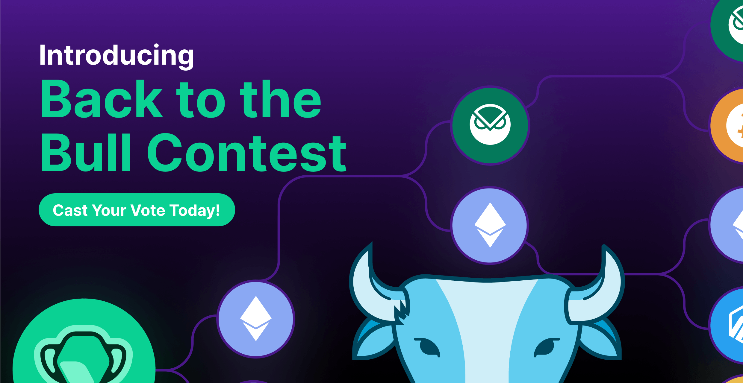 Back to the Bull Contest: winners, updates, and more